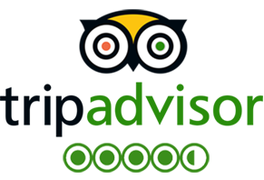 Trip Advisor reviews