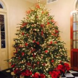 Christmas in the Vieux Carre Photo