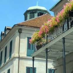 Check In and Check Out Chartres Street Photo