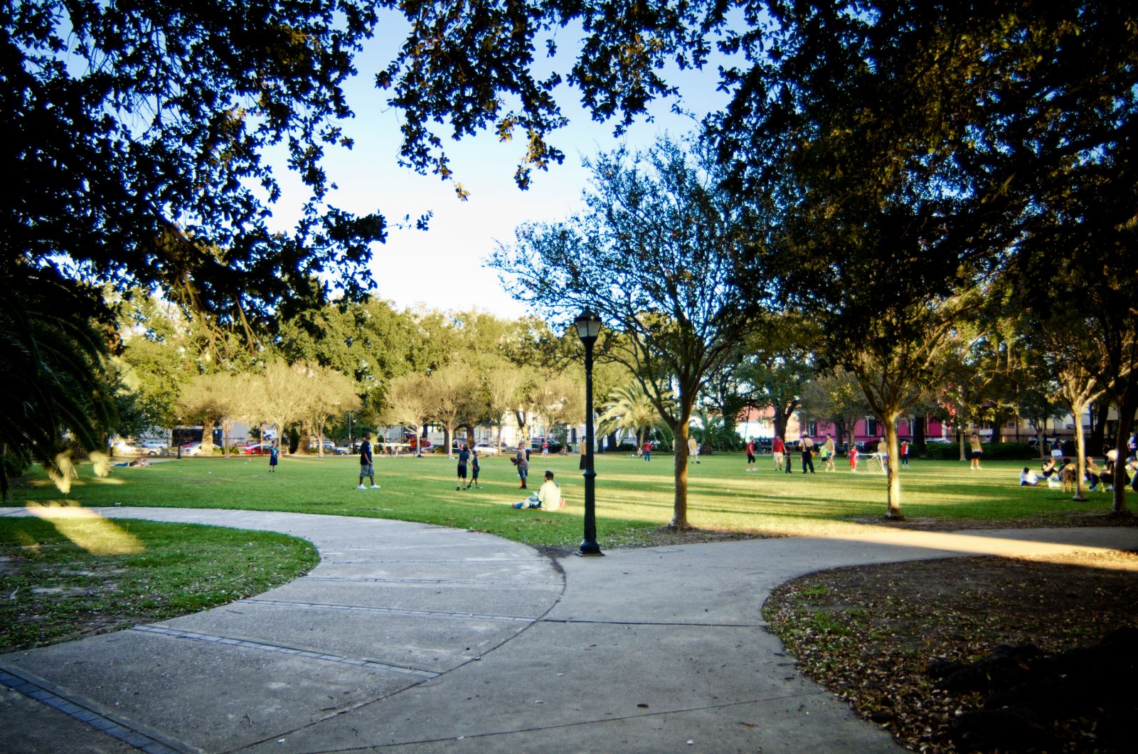 Fall in New Orleans