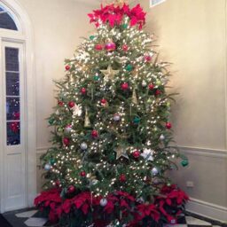 Celebrate the Holidays in New Orleans