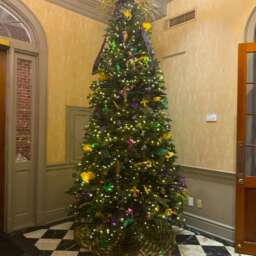 Follow the Parade to Hotel Provincial